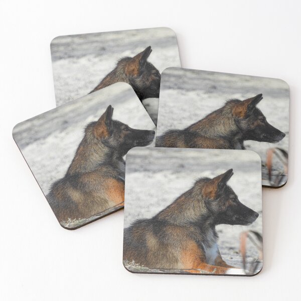 Item preview, Dingo in the wild! designed and sold by BigDesertDingo.
