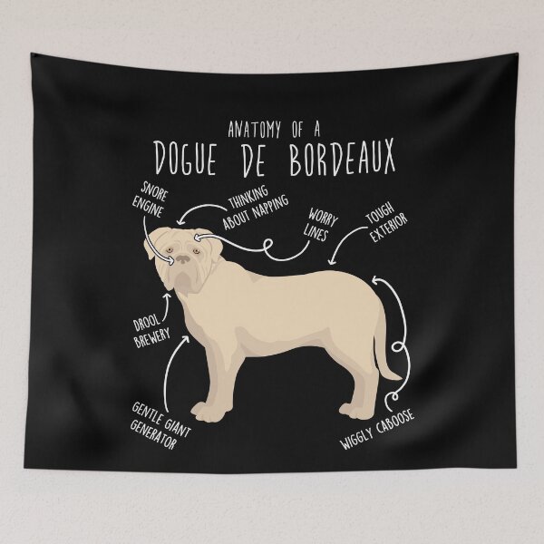 Item preview, Isabella Dogue de Bordeaux Dog Anatomy designed and sold by Clara Hollins.