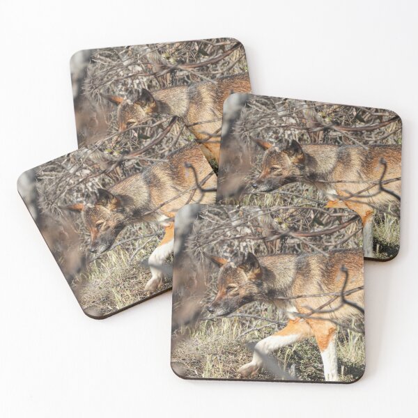 Item preview, Wild Sable Dingo designed and sold by BigDesertDingo.