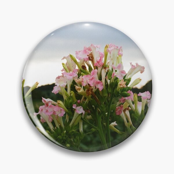 Item preview, 'baccer designed and sold by sarahsmcbride.