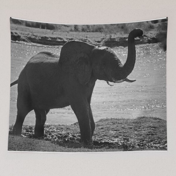 Item preview, Baby Elephant Walking Along the Zambezi Ri designed and sold by sarahbidz.