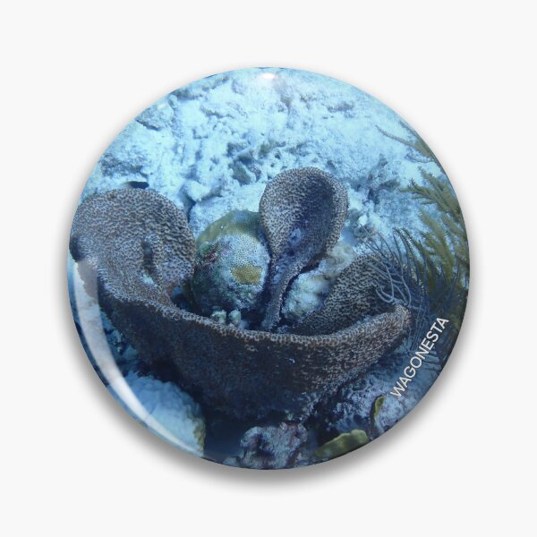 Item preview, Underwater - Coral Basket ln Bonaire by Wagonesta  designed and sold by Wagonesta.