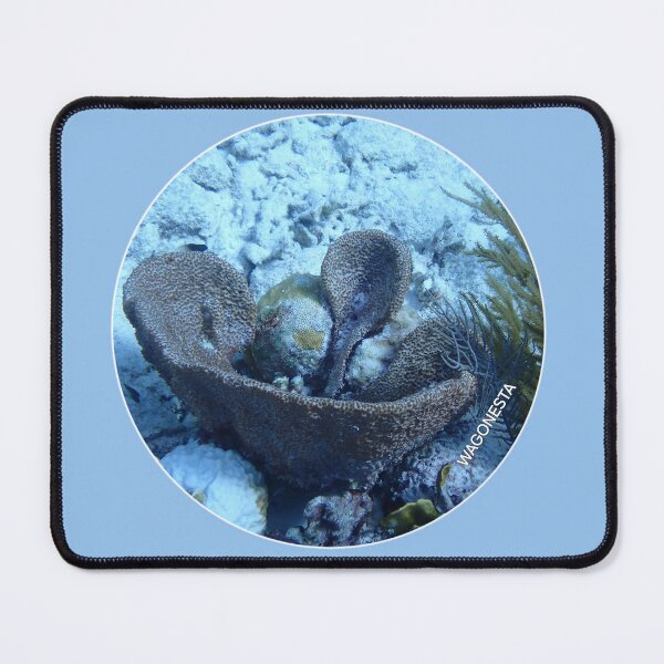 Item preview, Underwater - Coral Basket ln Bonaire by Wagonesta designed and sold by Wagonesta.