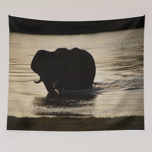 Item preview, Elephant Crossing the Zambezi at Sunset designed and sold by sarahbidz.