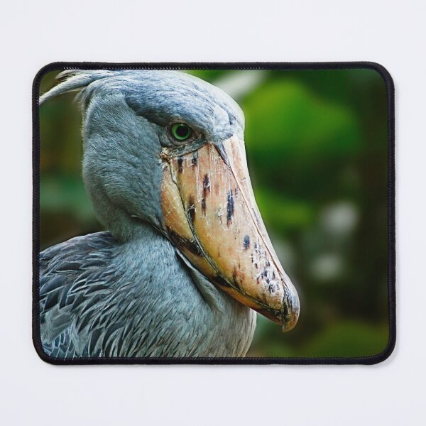 Item preview, Birds 3 - (C) ben yassa designed and sold by beny .