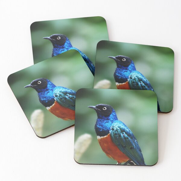 Item preview, Pájaros 2 - (C) ben yassa designed and sold by beny .
