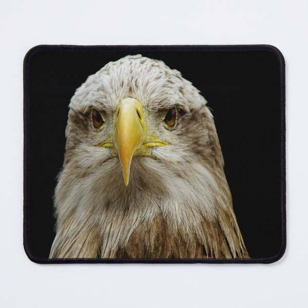Item preview, Birds 72 - (C) ben yassa designed and sold by beny .
