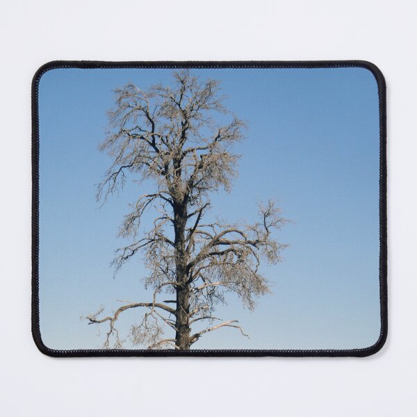 Item preview, Lonely Tree designed and sold by STHogan.