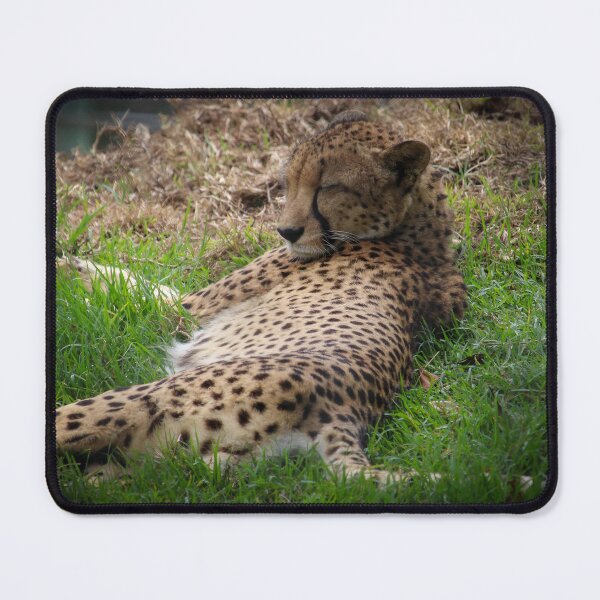 Item preview, Sleepy little cheetah designed and sold by MacLittle.