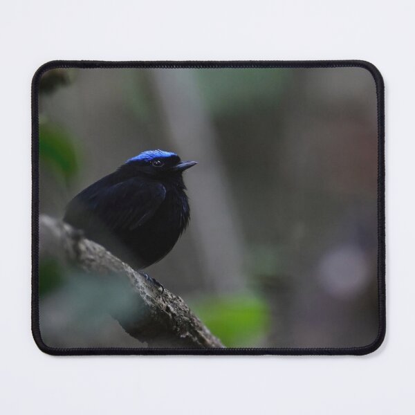 Item preview, Panama manakin designed and sold by JIM-AND-ME.