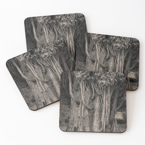Item preview, Incense Cedar designed and sold by David Bowman.