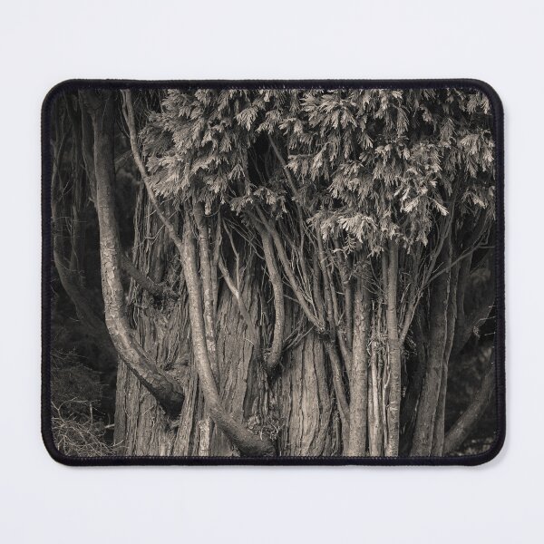 Item preview, Incense Cedar designed and sold by David Bowman.
