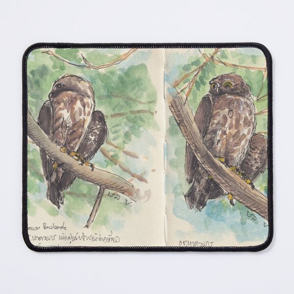 Item preview, Brown Boobook designed and sold by BirdsAndBrush.