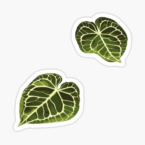Item preview, Alocasia tropical exotic leaves. designed and sold by MatyKotiv.
