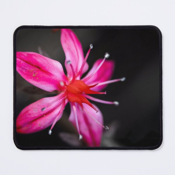 Item preview, Cosmic Bloom designed and sold by Pixel Press Prints.