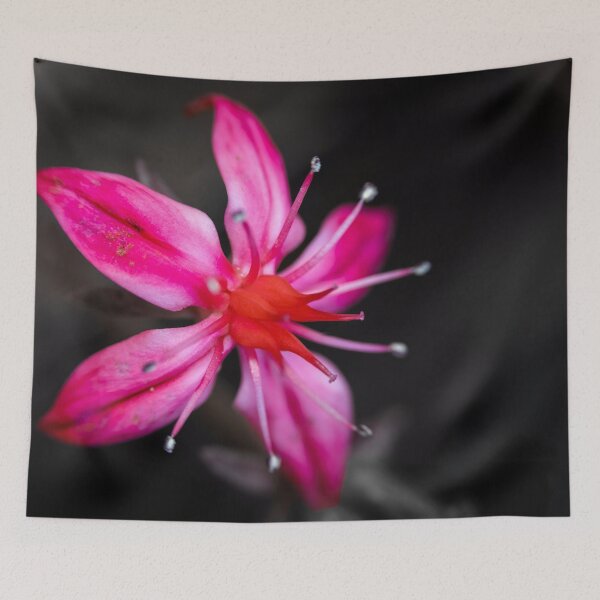 Item preview, Cosmic Bloom designed and sold by Pixel Press Prints.