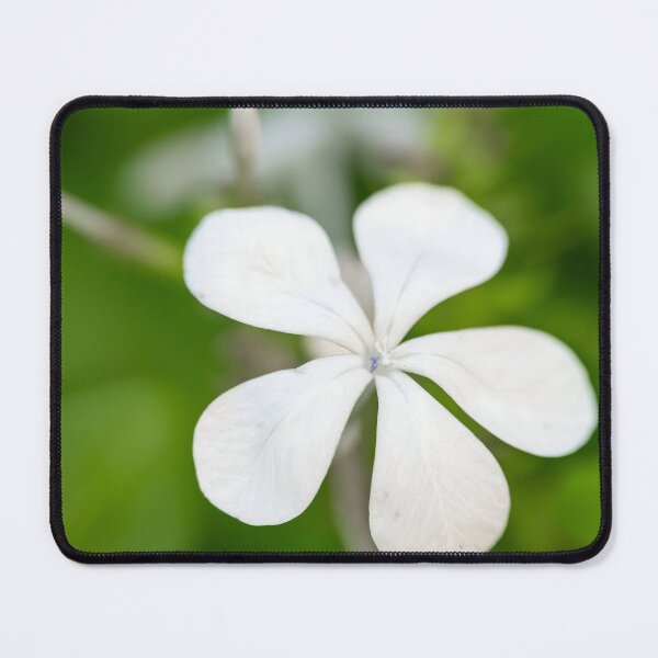 Item preview, Pure Simplicity designed and sold by Pixel Press Prints.