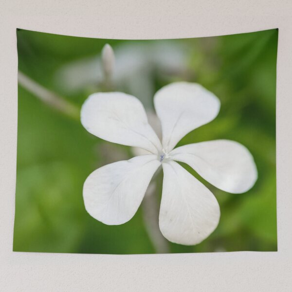 Item preview, Pure Simplicity designed and sold by Pixel Press Prints.