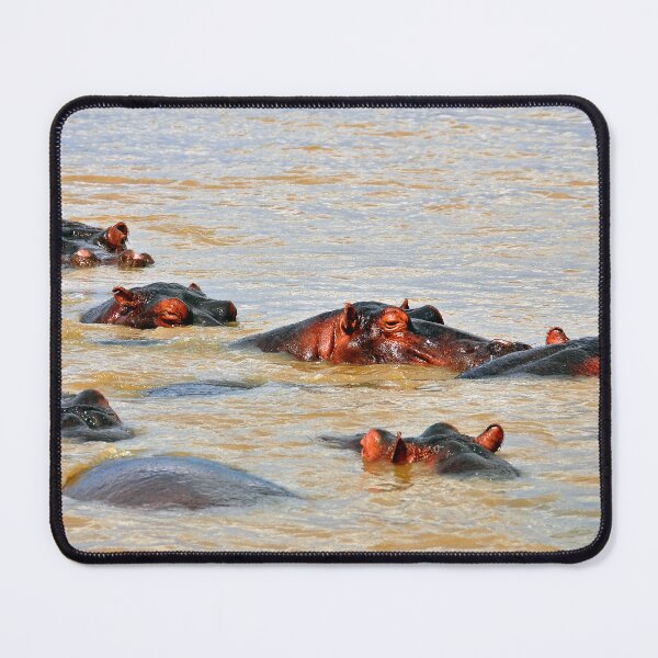 Item preview, Hippopotamus hippo Lake St Lucia Wetland Park South Africa designed and sold by AndyEvansPhotos.