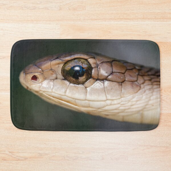 Item preview, Boomslang (Dispholidus typus) designed and sold by Pixel Press Prints.
