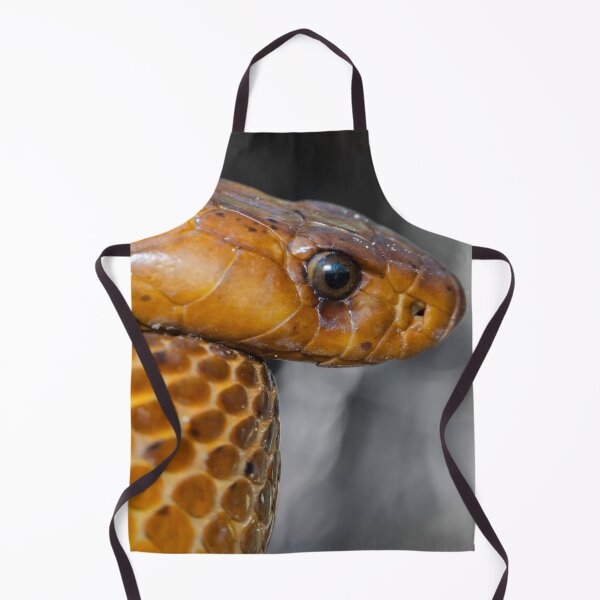Item preview, Cape Cobra (Naja nivea) designed and sold by Pixel Press Prints.