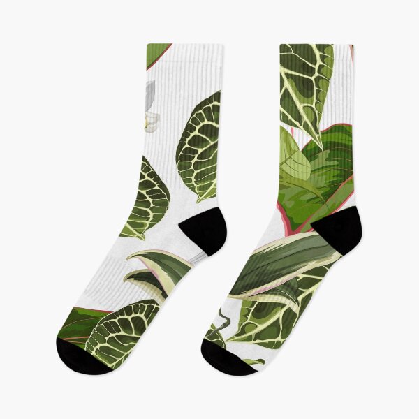 Item preview,  Alocasia plant, palm leaves and orange flowers illustration. designed and sold by MatyKotiv.