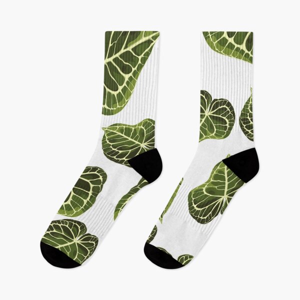 Item preview, Tropical exotic leaves. Alocasia plant leaves on white background. designed and sold by MatyKotiv.