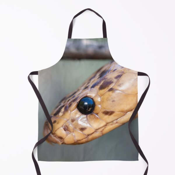 Item preview, Cape Cobra (Naja nivea) designed and sold by Pixel Press Prints.