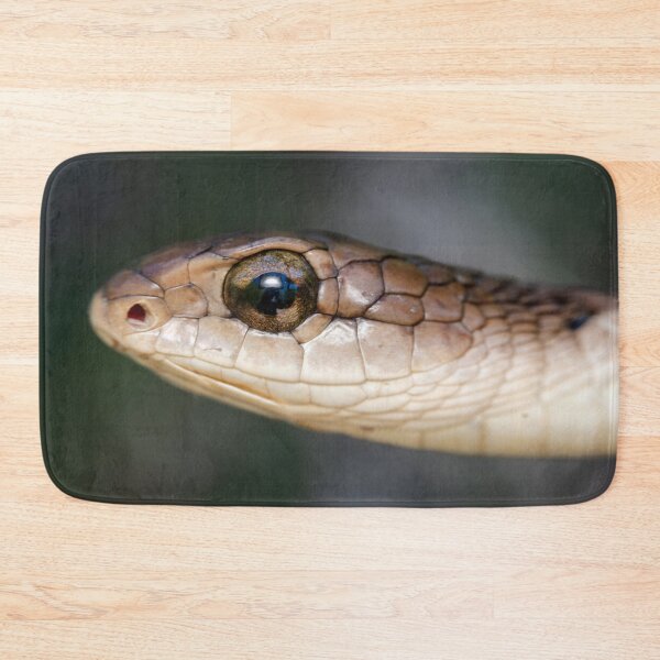 Item preview, Boomslang (Dispholidus typus) designed and sold by Pixel Press Prints.
