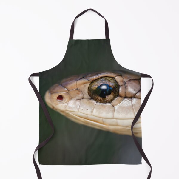 Item preview, Boomslang (Dispholidus typus) designed and sold by Pixel Press Prints.