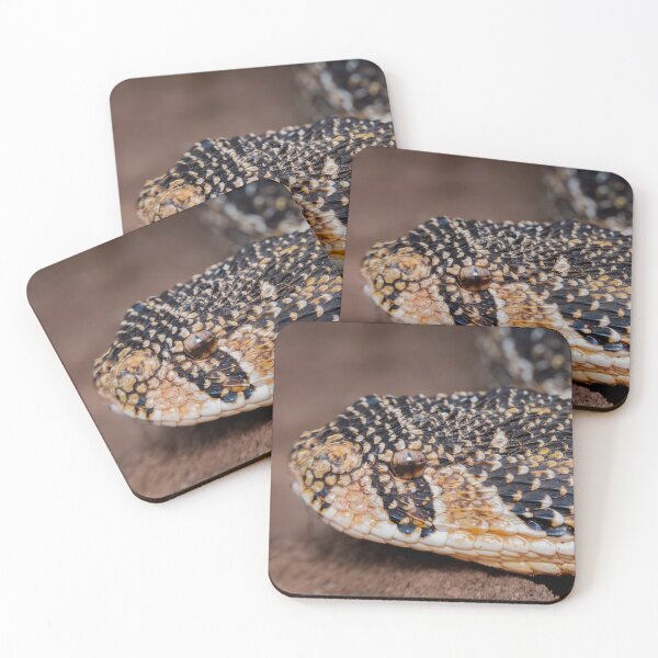 Item preview, Puff Adder (Bitis arietans) designed and sold by Pixel Press Prints.