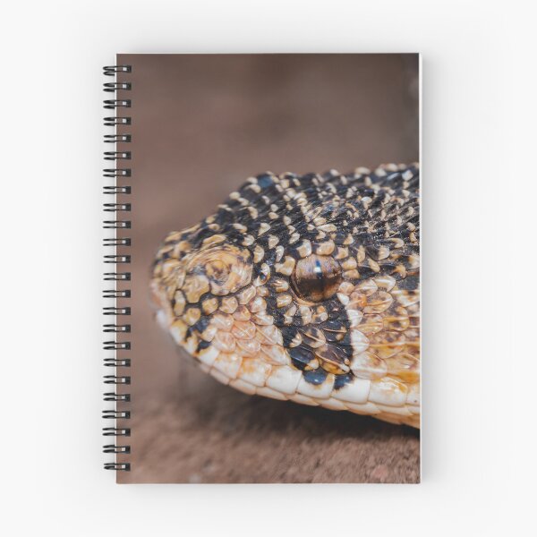 Item preview, Puff Adder (Bitis arietans) designed and sold by Pixel Press Prints.