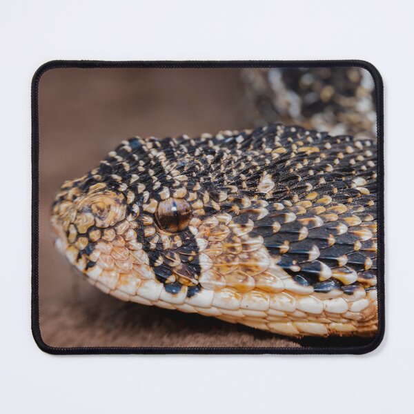 Item preview, Puff Adder (Bitis arietans) designed and sold by Pixel Press Prints.