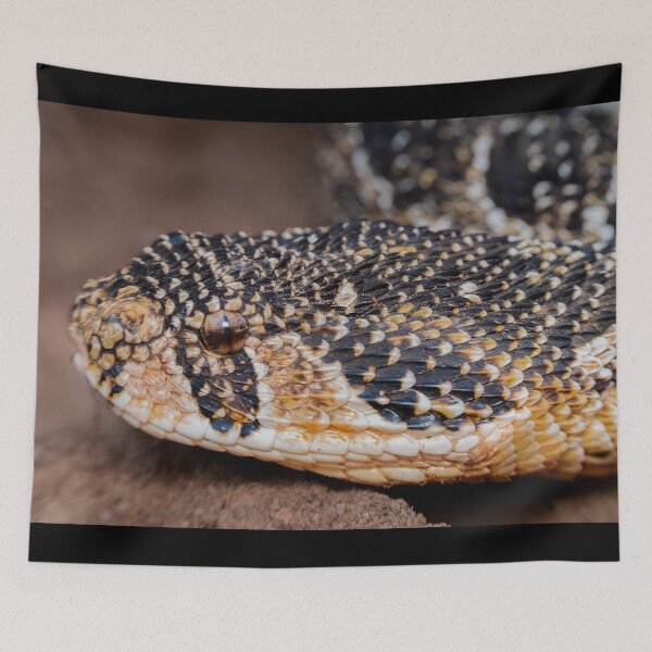 Item preview, Puff Adder (Bitis arietans) designed and sold by Pixel Press Prints.