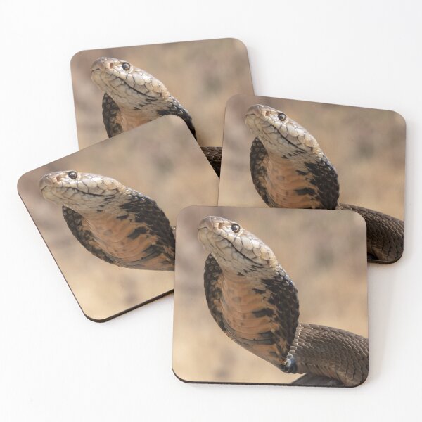 Item preview, Mozambique Spitting Cobra (Naja mossambica) designed and sold by Pixel Press Prints.