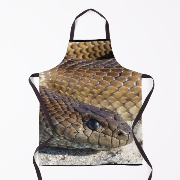 Item preview, Mole Snake (Pseudaspis cana) designed and sold by Pixel Press Prints.