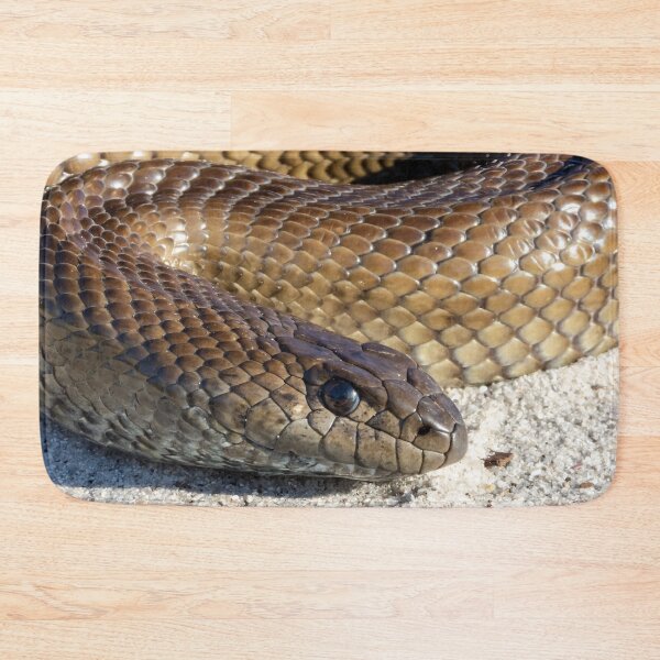 Item preview, Mole Snake (Pseudaspis cana) designed and sold by Pixel Press Prints.