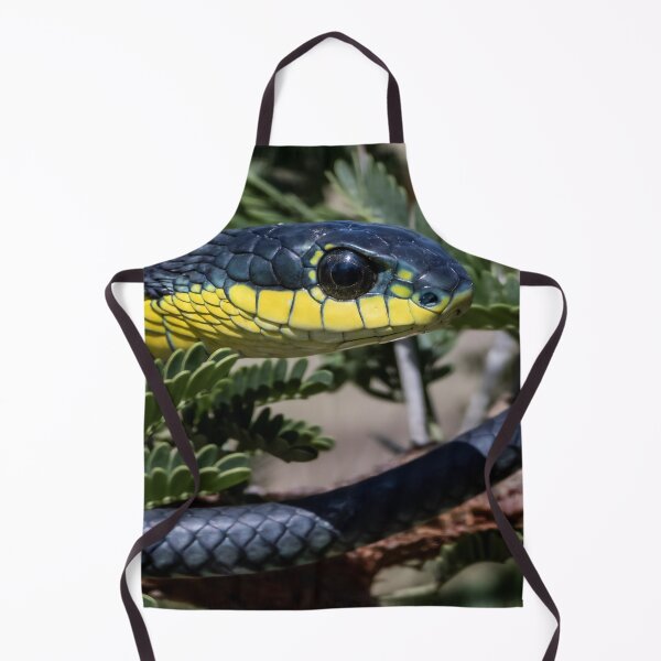 Item preview, Boomslang (Dispholidus typus) designed and sold by Pixel Press Prints.
