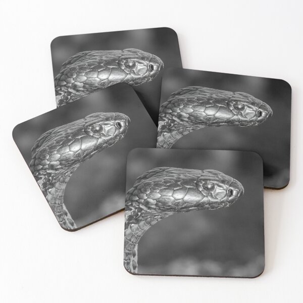 Item preview, Black Spitting Cobra (Naja nigricincta woodi) designed and sold by Pixel Press Prints.