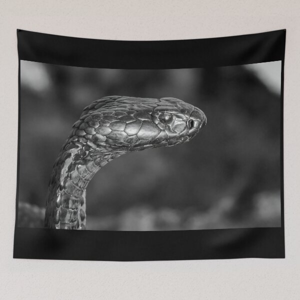 Item preview, Black Spitting Cobra (Naja nigricincta woodi) designed and sold by Pixel Press Prints.