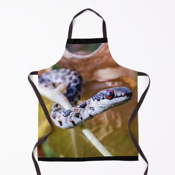 Item preview, Spotted Skaapsteker (Psammophylax rhombeatus) designed and sold by Pixel Press Prints.
