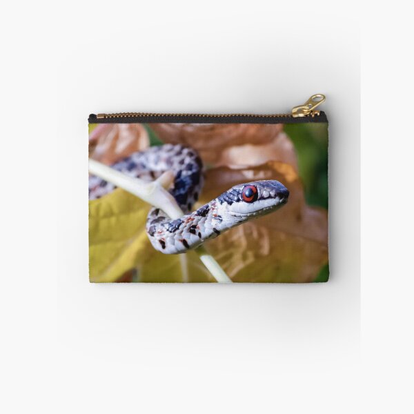 Item preview, Spotted Skaapsteker (Psammophylax rhombeatus) designed and sold by Pixel Press Prints.