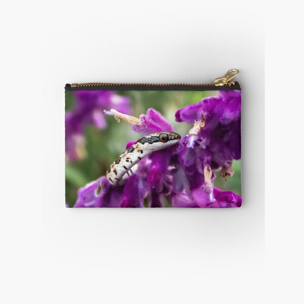 Item preview, Spotted Skaapsteker (Psammophylax rhombeatus) designed and sold by Pixel Press Prints.