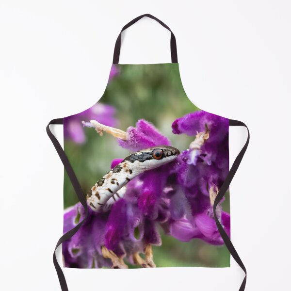 Item preview, Spotted Skaapsteker (Psammophylax rhombeatus) designed and sold by Pixel Press Prints.