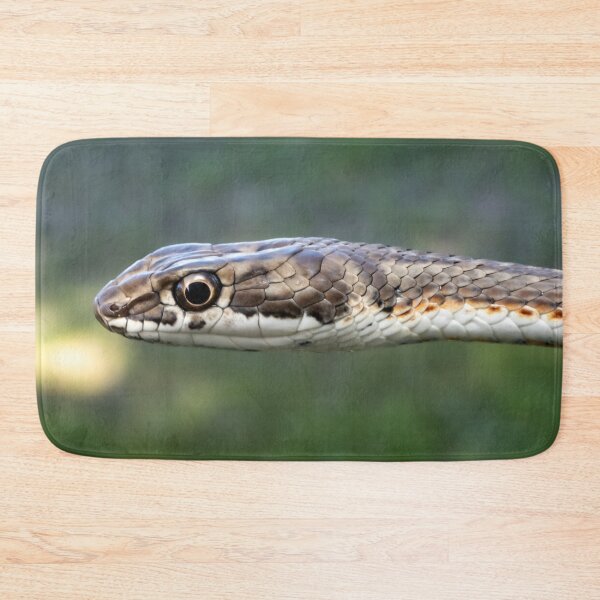 Item preview, Karoo Sand Snake (Psammophis notostictus) designed and sold by Pixel Press Prints.