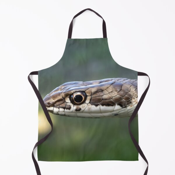 Item preview, Karoo Sand Snake (Psammophis notostictus) designed and sold by Pixel Press Prints.