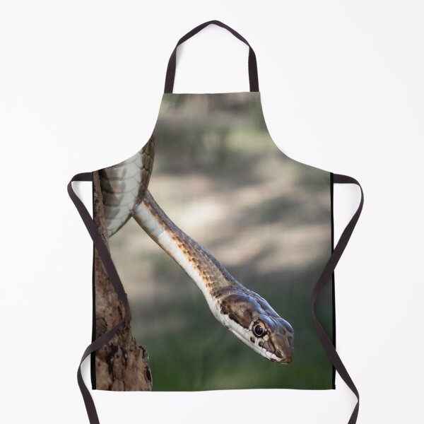 Item preview, Karoo Sand Snake (Psammophis notostictus) designed and sold by Pixel Press Prints.