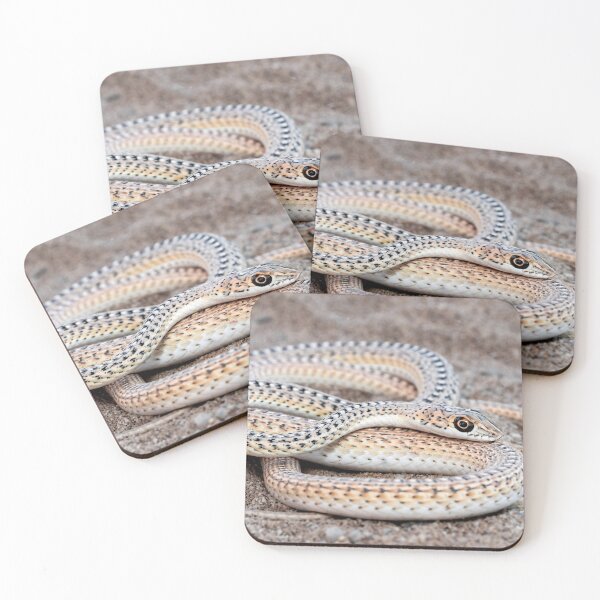 Item preview, Namib Sand Snake (Psammophis namibensis) designed and sold by Pixel Press Prints.