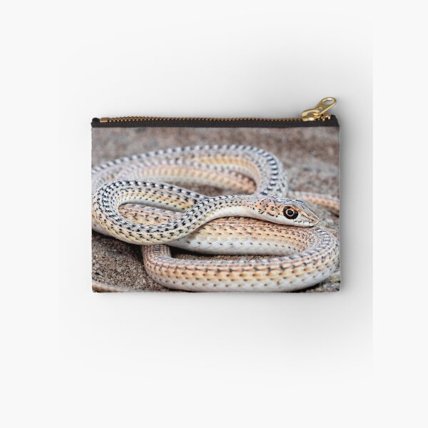 Item preview, Namib Sand Snake (Psammophis namibensis) designed and sold by Pixel Press Prints.