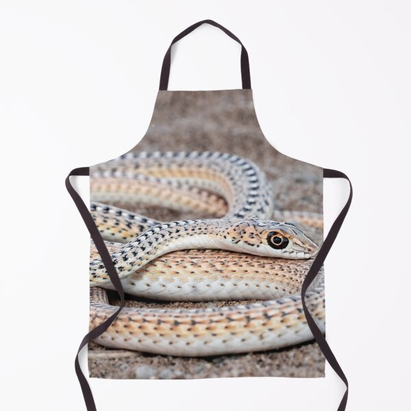 Item preview, Namib Sand Snake (Psammophis namibensis) designed and sold by Pixel Press Prints.